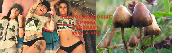 прущая мука Лагань