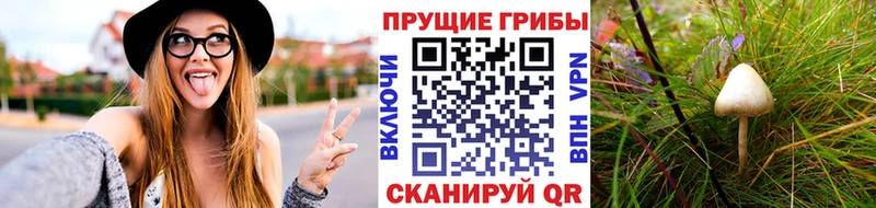 Купить  Радужный  Галлюциногенные грибы ЛСД 